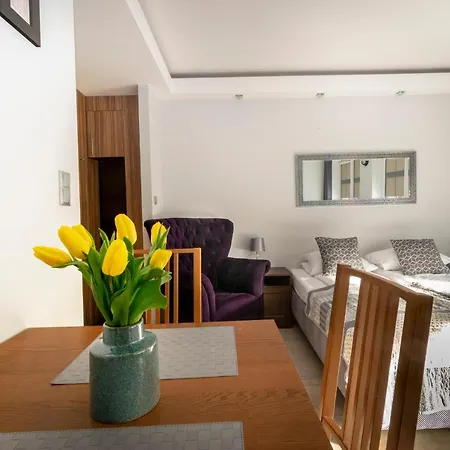 Szeroka Apartamento *