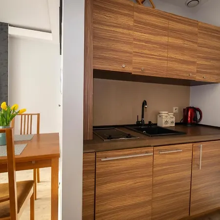 Apartament Szeroka Apartment *
